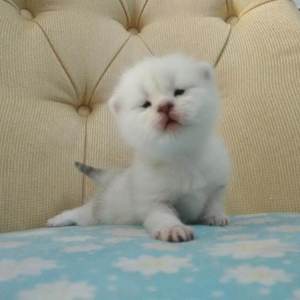 台湾真做露性器50部
